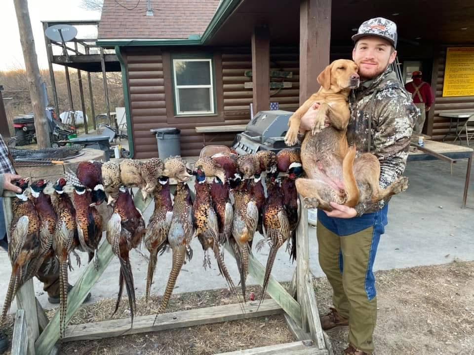 A rack of rooster pheasants beside a hunter holding a yellow lab outside the lodge